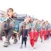 Ấn tượng với lễ hội voi Xayaboury lớn nhất của đất nước Lào