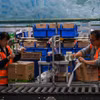 Lễ hội mua sắm Ngày Độc thân ở Trung Quốc mất sức hấp dẫn