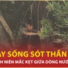 9 ngày sống sót thần kỳ của thanh niên mắc kẹt giữa dòng nước lũ