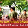Bản tin 60s: Nhà hảo tâm không dám xem clip vụ trẻ bị bạo hành ở mái ấm Hoa Hồng