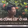 Cuộc sống chật vật của hơn 1.300 hộ dân Chương Mỹ trong “rốn lũ”