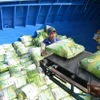 Việt Nam nắm giữ nguồn xuất khẩu gạo lớn thứ ba của thế giới