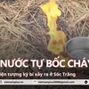 Bí ẩn hiện tượng giếng nước bốc cháy ở Sóc Trăng khiến nhiều người đổ xô đi xem 