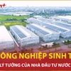 Khu công nghiệp sinh thái Việt Nam: Điểm đến lý tưởng của nhà đầu tư nước ngoài