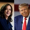 Bà Kamala Harris dẫn trước ông Donald Trump ở 6 bang "chiến trường" quan trọng