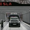 Mẫu xe điện Model Y của Tesla. (Ảnh: AFP/TTXVN)