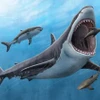Khoa học chứng minh cá mập khổng lồ megalodon là loài máu nóng