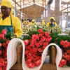 Ngày lễ Tình nhân ảm đạm với người trồng hoa hồng xuất khẩu tại Kenya
