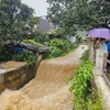 Lũ lớn tại xã Mường Hoa, thị xã Sa Pa. (Ảnh: TTXVN phát)