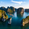 Ngày mai, đoàn 4.500 khách Ấn Độ sẽ có những trải nghiệm đầu tiên ở vịnh Hạ Long. (Ảnh minh họa: CTV/Vietnam+)
