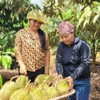 Phân bón chịu thuế suất 5%: Không nên để nông dân thêm áp lực