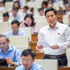 Đại biểu Lại Văn Hoàn đề nghị tăng tỷ lệ vốn Nhà nước lên 80%. (Ảnh: CTV/Vietnam+)