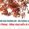 Lễ hội Hoa phượng đỏ Hải Phòng 2024: Hải Phòng-Bừng sáng miền di sản