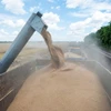 Nông dân thu hoạch lúa mỳ trên cánh đồng ở vùng Kharkiv, Ukraine ngày 19/7/2022. (Ảnh: AFP/TTXVN)