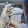 Vaccine phòng COVID-19 của Pfizer và BioNTech. (Ảnh: AFP/TTXVN)