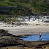 Bãi biển Little Bay tại Sydney, Australia. (Ảnh: AFP/TTXVN)