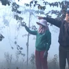 Đắk Nông: Xử phạt 130 triệu đồng doanh nghiệp sấy càphê ô nhiễm môi trường