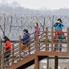 (Tư liệu) Khách du lịch tham quan Công viên hòa bình Imjingak gần Khu phi quân sự (DMZ) liên Triều, tại Paju, Hàn Quốc, ngày 5/4/2013. (Ảnh: AFP/TTXVN)