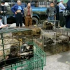 Một chợ động vật hoang dã ở Trung Quốc. (Nguồn: Getty Images)