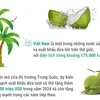 Dừa tươi sẽ xuất khẩu chính ngạch sang Trung Quốc