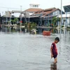 Cảnh ngập lụt sau những trận mưa lớn tại Semarang, Trung Java, Indonesia. (Ảnh: THX/TTXVN)