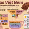 Đã đến lúc cacao Việt Nam trở lại với giấc mơ trở thành "thủ phủ" của châu Á?