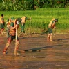 Lực lượng quân đội tìm kiếm các nạn nhân mất tích do sạt lở đất tại làng Nủ, xã Phúc Khánh, huyện Bảo Yên (Lào Cai). (Ảnh: Dương Giang/TTXVN)