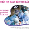 Việt Nam ghi dấu ấn mới trong kỹ thuật can thiệp tim mạch bào thai đầu tiên