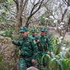 Cán bộ, chiến sỹ Đồn Biên phòng Thàng Tín (Hà Giang) tuần tra, kiểm soát địa bàn được giao phụ trách. (Ảnh: Nam Thái/TTXVN)