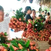 Sản phẩm vải thiều được công nhận OCOP giới thiệu tại siêu thị. (Ảnh: Phương Anh/TTXVN)