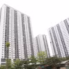 Từ đầu năm 2024 đến nay, thị trường căn hộ chung cư đang có xu hướng “đội giá.” (Ảnh: Hùng Võ/Vietnam+)