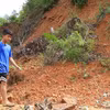 Ảnh minh họa. (Nguồn: Vietnam+)