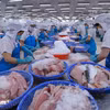 Chế biến thủy sản xuất khẩu. (Ảnh: Đức Duy/Vietnam+)