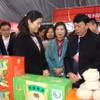 Lãnh đạo tỉnh Cao Bằng và thành phố Bách Sắc (Khu tự trị dân tộc Choang Quảng Tây, Trung Quốc) tham quan gian hàng. (Ảnh: Chu Hiệu/TTXVN)