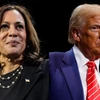 Phó Tổng thống Kamala Harris và cựu Tổng thống Donald Trump. (Nguồn: Ap/Getty Images)