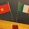 Thúc đẩy tiềm năng hợp tác Việt Nam-Ireland trong các lĩnh vực giáo dục, KHCN