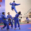 Vovinam - Việt Võ Đạo được công nhận là Di sản Văn hóa Phi vật thể Quốc gia.. (Ảnh: Công Luật/TTXVN)