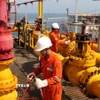 Nhân viên Petrovietnam trên các công trình dầu khí. (Ảnh: TTXVN)