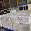 Viện Vệ sinh dịch tễ Trung ương đã tiếp nhận 490.600 liều vaccine DPT-VGB-Hib do Chính phủ Australia tài trợ cho Việt Nam. (Ảnh: PV/Vietnam+)