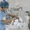 Nhân viên y tế chăm sóc cho trẻ sinh non. (Ảnh: Bích Huệ/TTXVN)