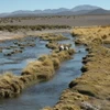 Ảnh minh họa. (Nguồn: boliviateamo.blogspot.com)