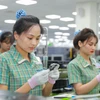 Giá trị quyết đoán ở thế hệ người trẻ bắt đầu cao hơn, trong khi đặc tính tôn trọng thứ bậc vẫn nghiêng về thế hệ những người cao tuổi. (Ảnh: Vietnam+)