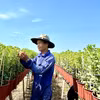 Ảnh minh họa. (Ảnh: Thanh Sang/TTXVN)