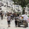 Người dân Palestine sơ tán từ Jabalia, miền Bắc Dải Gaza tới thành phố Gaza ngày 24/5/2024. (Ảnh: THX/TTXVN)