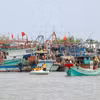 Nơi neo đậu tàu thuyền tại cửa biển Rạch Gốc, Ngọc Hiển (Cà Mau). (Ảnh: Huỳnh Anh/TTXVN