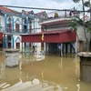 Nhà cửa của hàng nghìn hộ dân ở Nho Quan bị ngập sâu trong nước. (Ảnh: Thùy Dung/TTXVN)