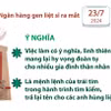 Ngân hàng gene mang lại hy vọng xác định danh tính hài cốt liệt sỹ