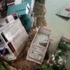 Hiện trường vụ sạt lở đê hữu Cầu thuộc địa phận phường Vạn An, thành phố Bắc Ninh. (Ảnh: TTXVN phát)