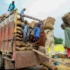 Công nhân vận chuyển gạo tại khu chợ ở Amritsar (Ấn Độ). (Ảnh: AFP/TTXVN)