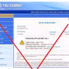 Một website giả mạo. (Nguồn: Bộ Tài chính)